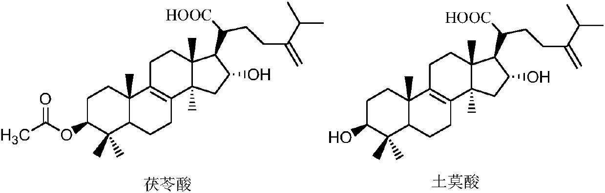 Whitening and moisturizing lotion and preparation method thereof