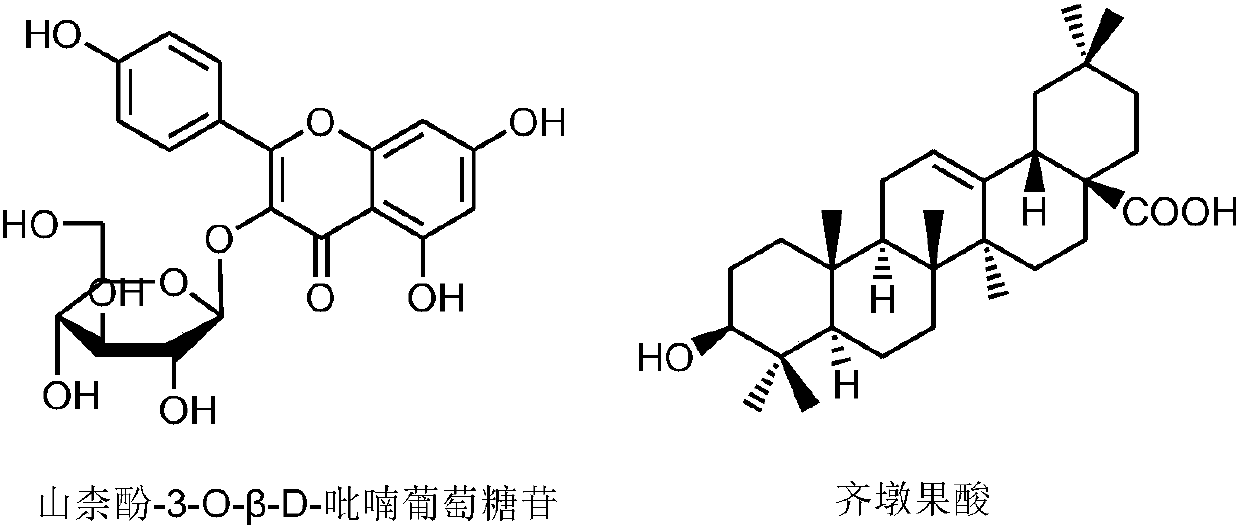 Whitening and moisturizing lotion and preparation method thereof