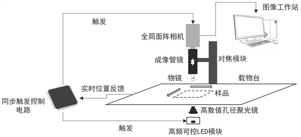 Short-exposure high-speed surface scanning rigid mosaic microscopy imaging system and method