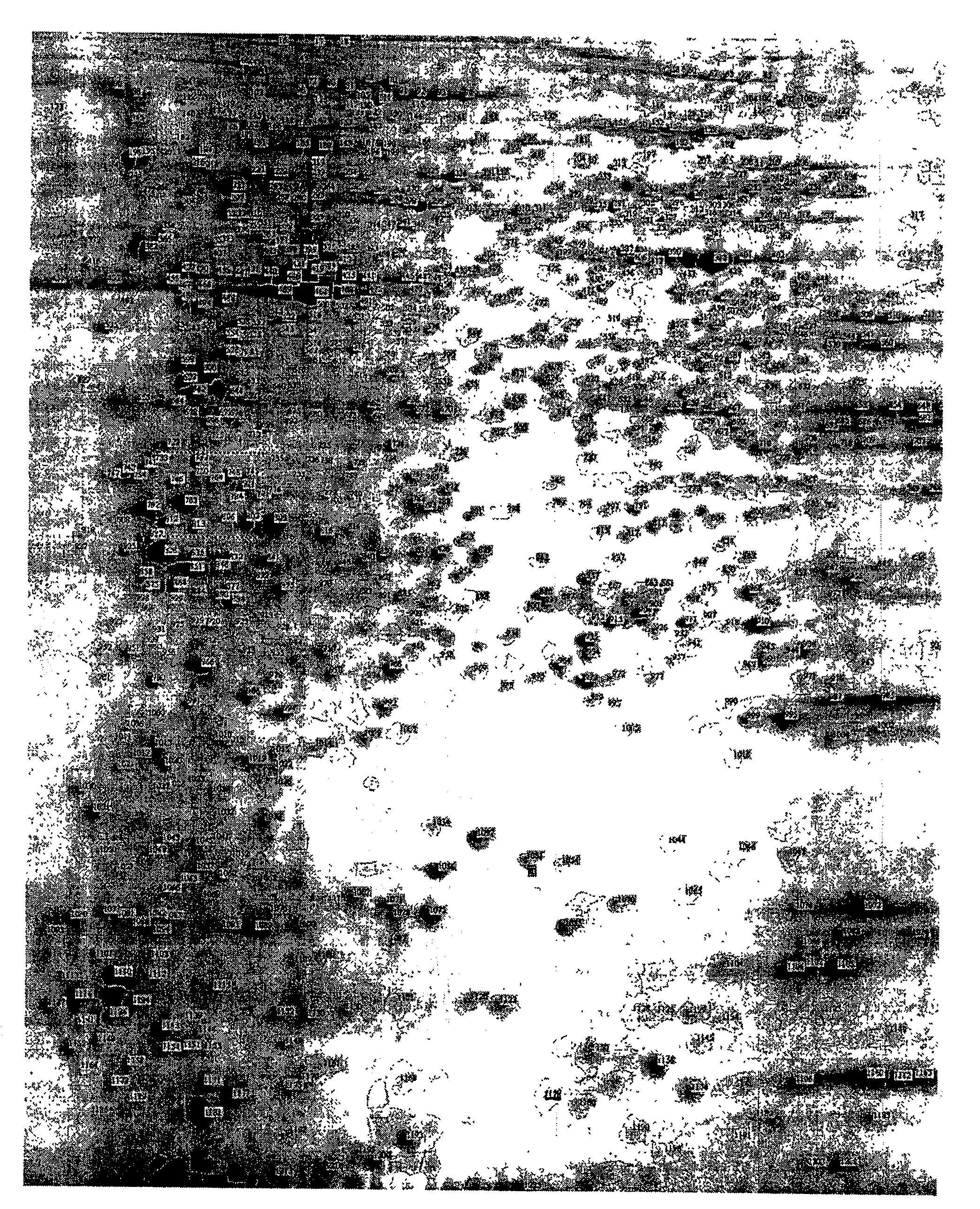 Method of screening action target of cardiac glycoside medicine using protein composition technology