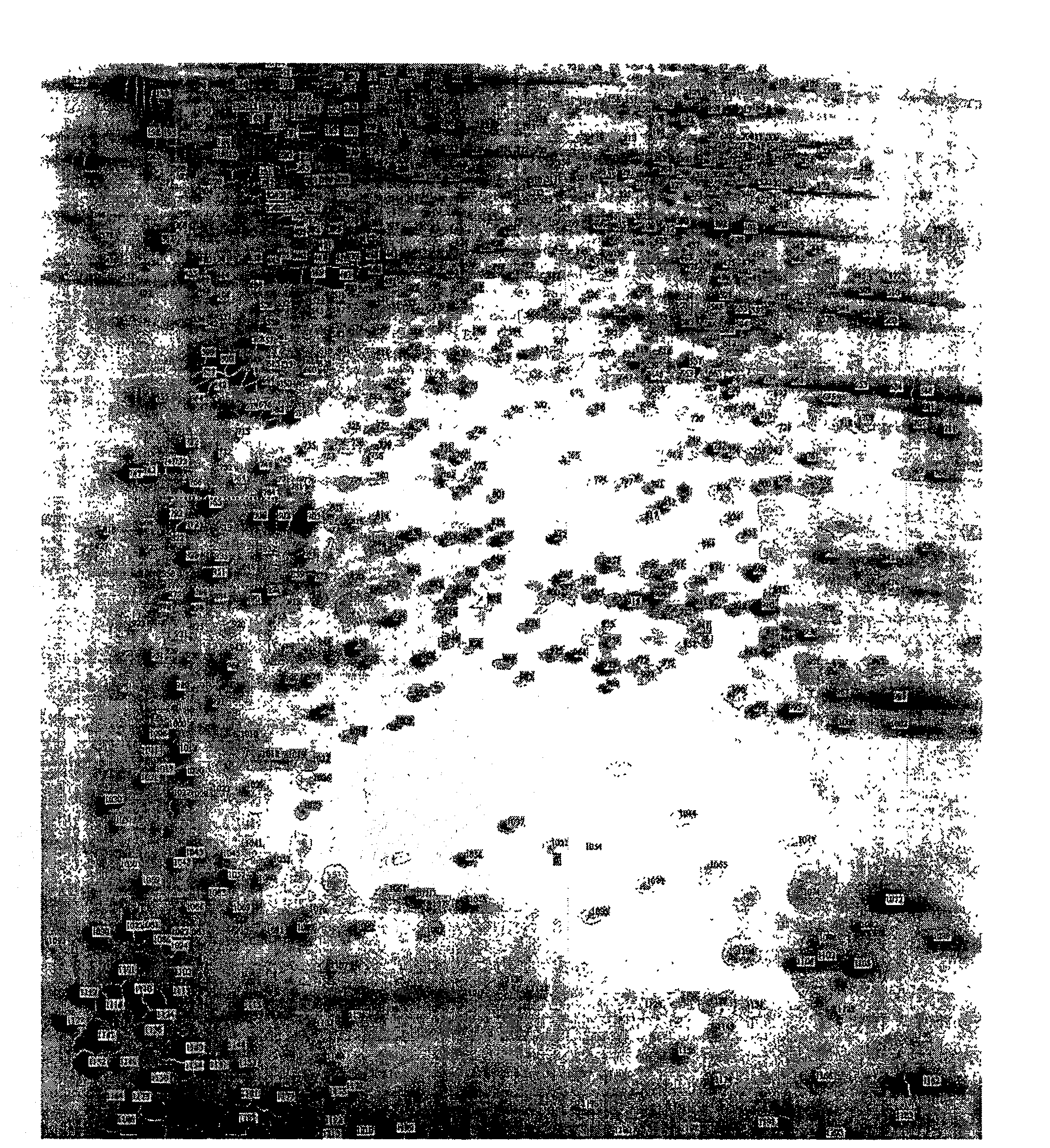 Method of screening action target of cardiac glycoside medicine using protein composition technology