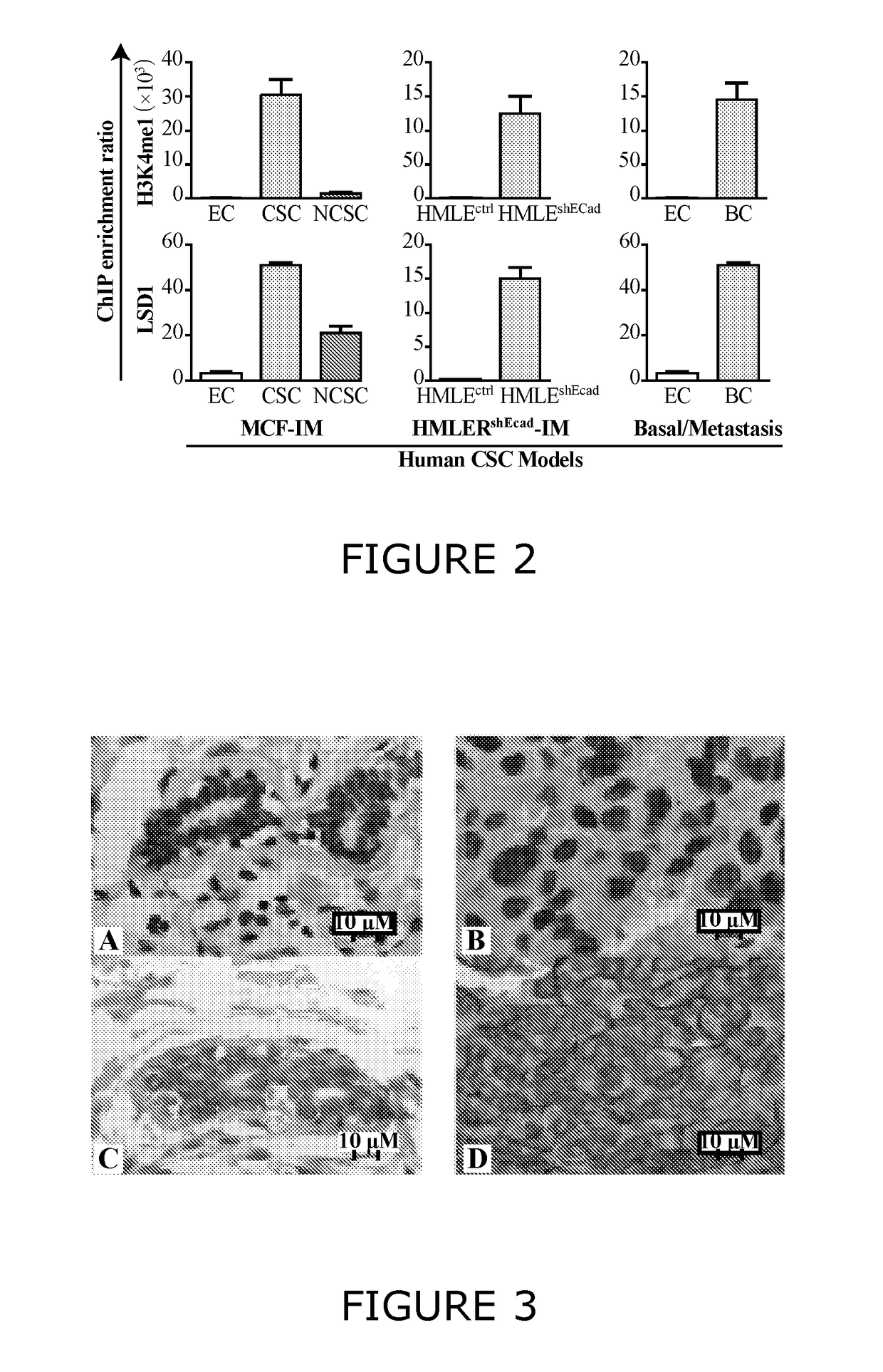 Methods and compositions for modulating cancer stem cells