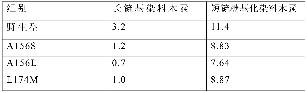 Cyclodextrin glycosyltransferase mutant and application thereof