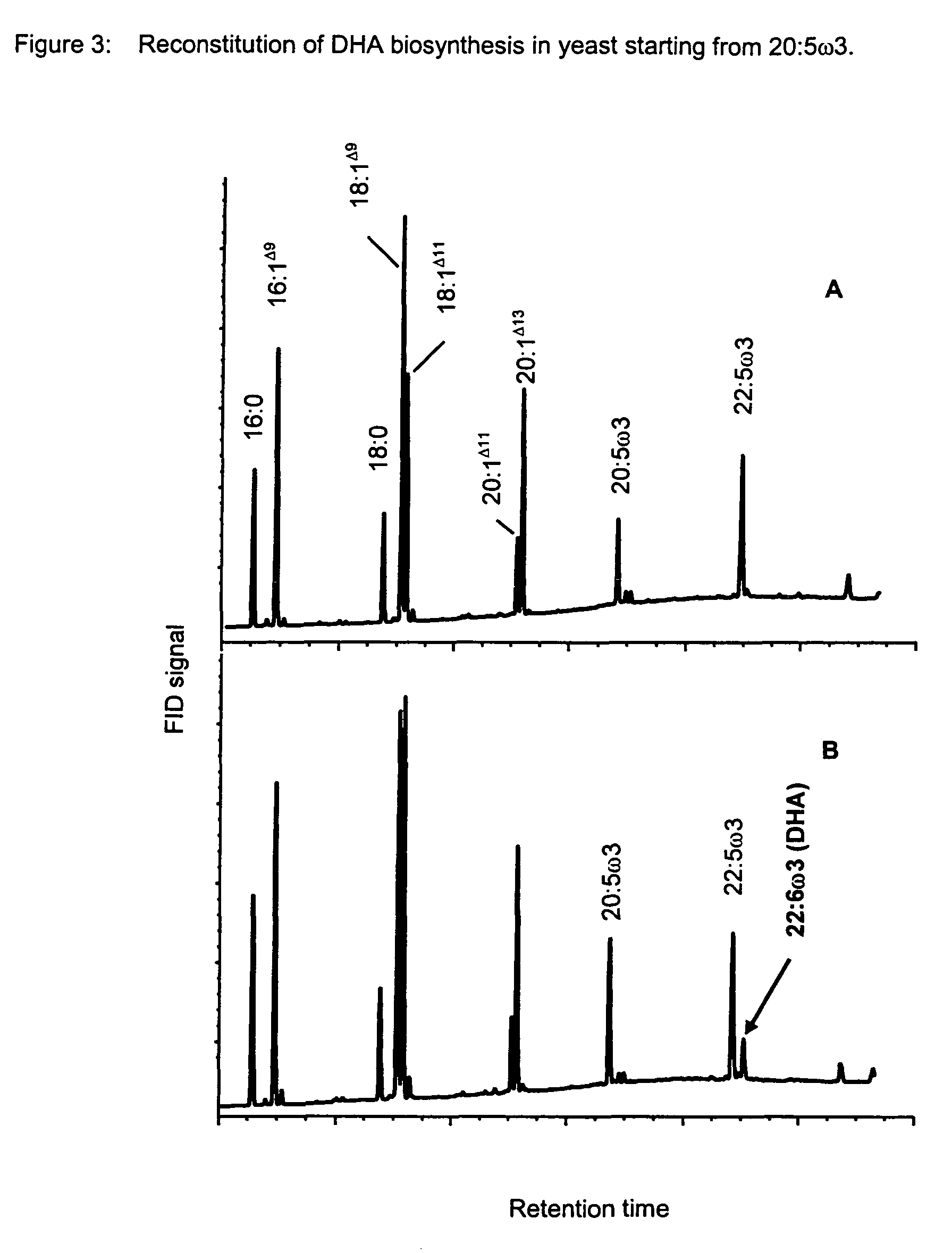 Method for the production of multiple-unsaturated fatty acids in transgenic organisms