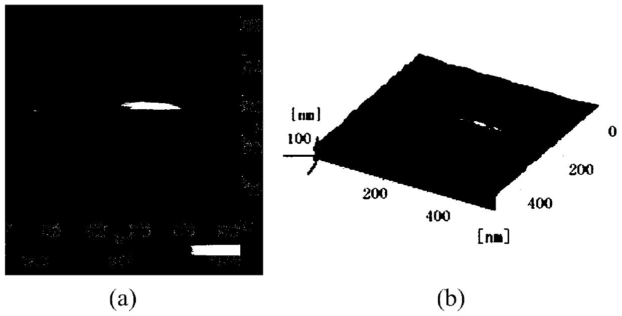Composite nanofiltration film and preparation method thereof