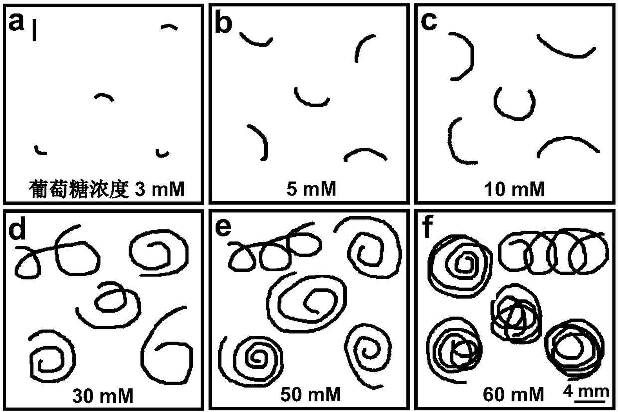 A kind of preparation method and application of hydrogel and amphoteric hydrogel shaped body