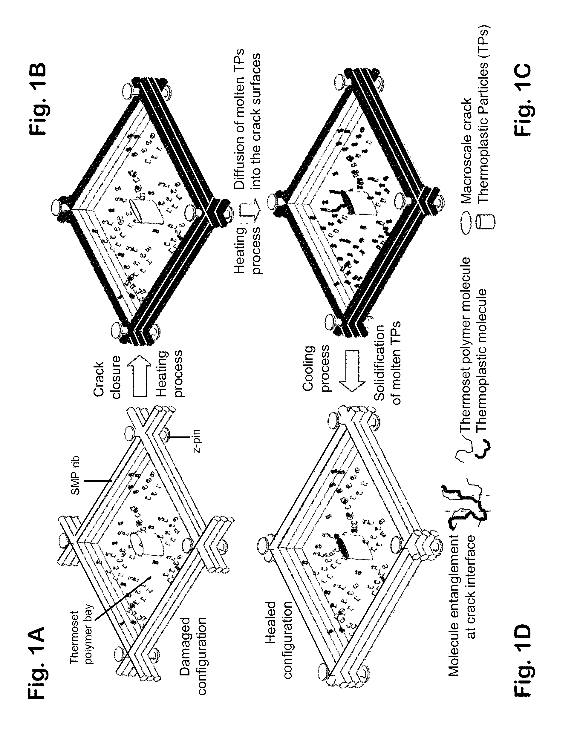 Self-healing composite of thermoset polymer and programmed super contraction fibers