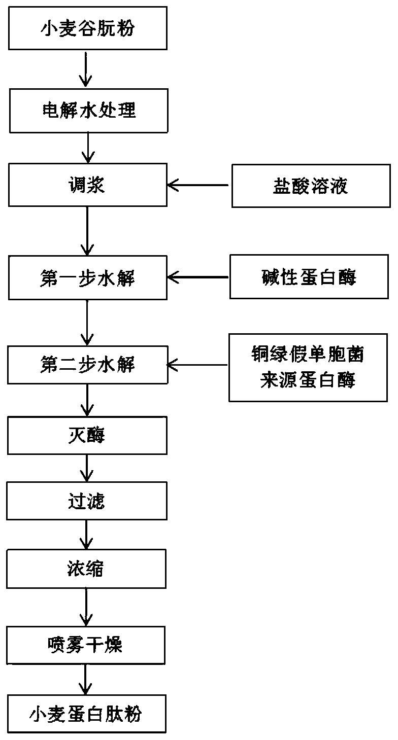 Wheat protein peptide with blood pressure-lowering activity and preparation method of wheat protein peptide