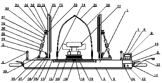 Ultrasonic diagnosis auxiliary device for hip joint of child