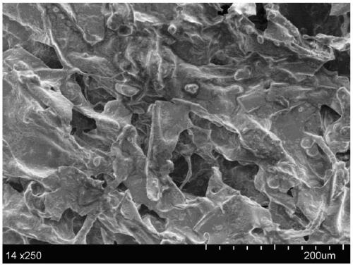 Intrinsic super-hydrophobic nano cellulose aerogel and preparation method thereof
