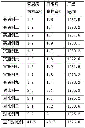 Seed coating for konjac seedling seeds, and preparation method thereof