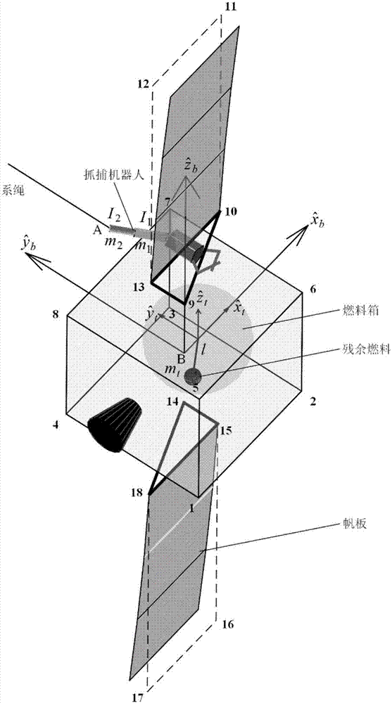 Method for establishing tethered captured satellite dynamic models through adding flexibility and fuel sloshing