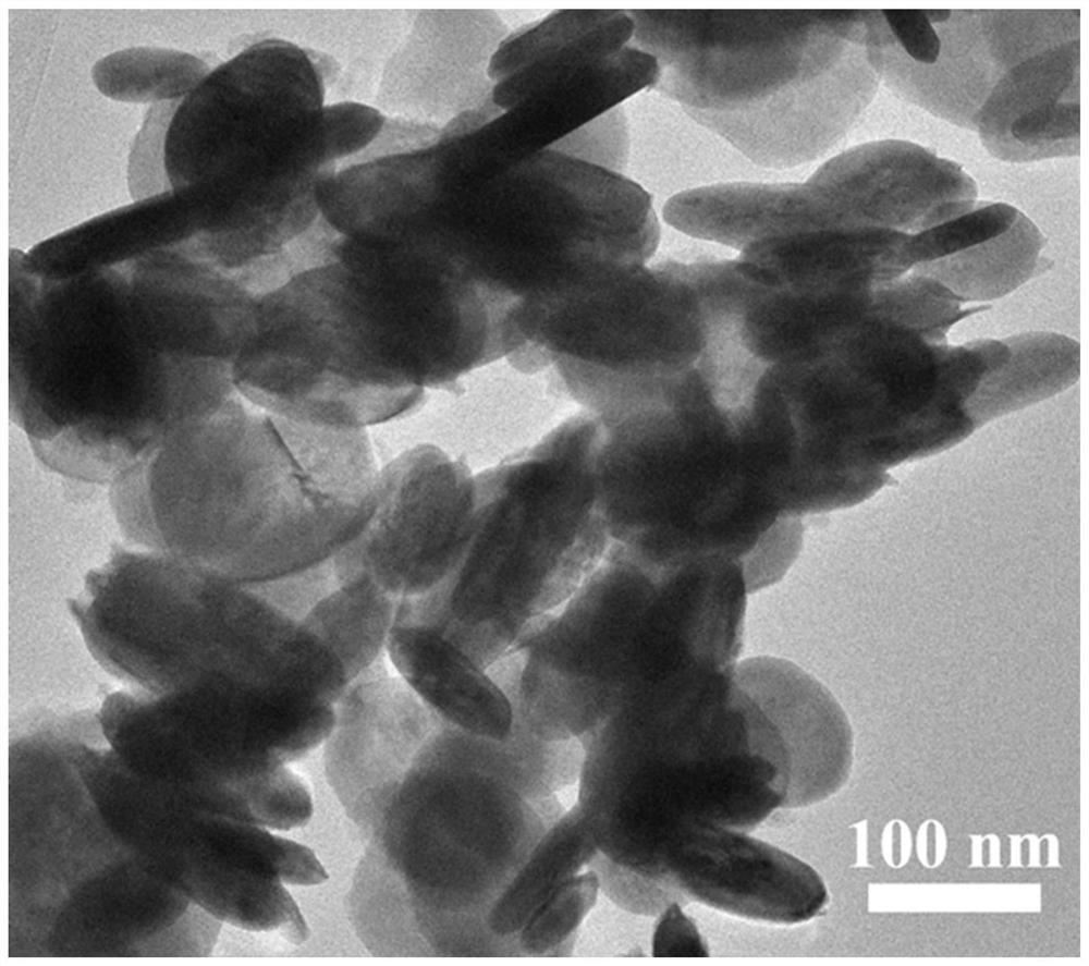 AgBr-Co3O4-BiOBr composite material as well as preparation method and application thereof