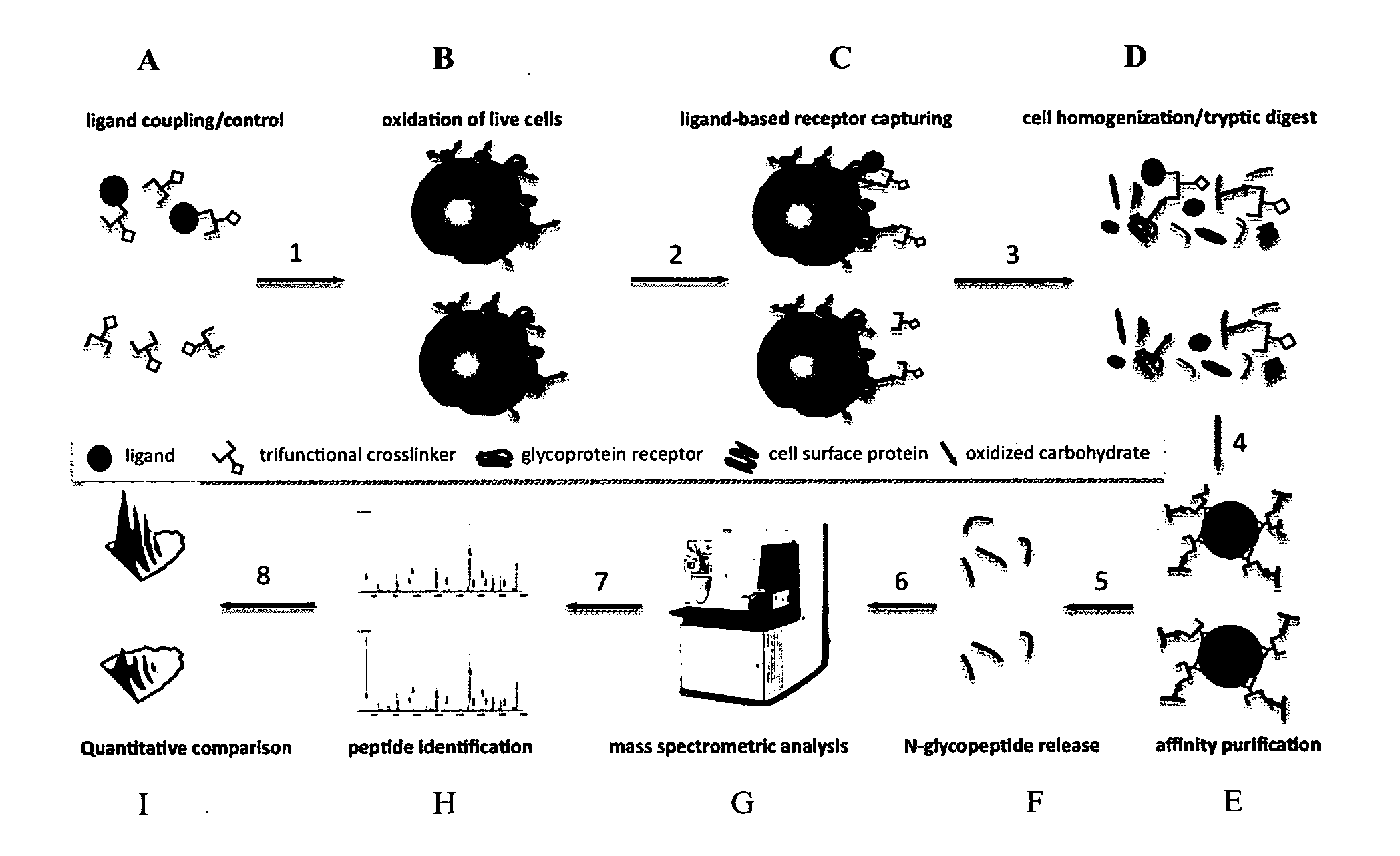 Trifunctional crosslinking reagents