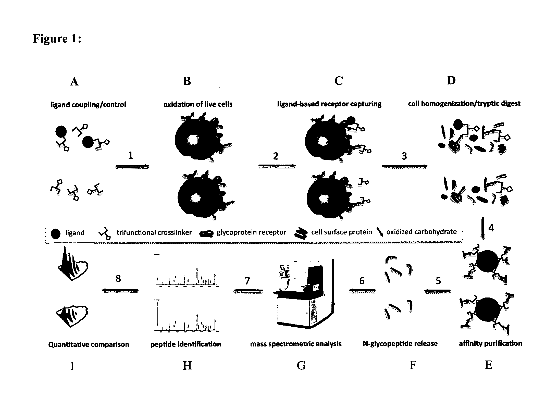 Trifunctional crosslinking reagents