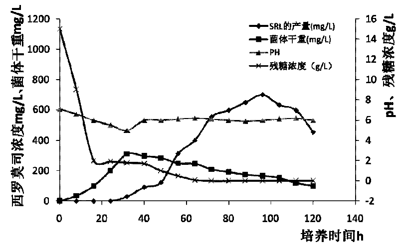 Method for cumulatively producing Sirolimus by using streptomyces hygroscopicus