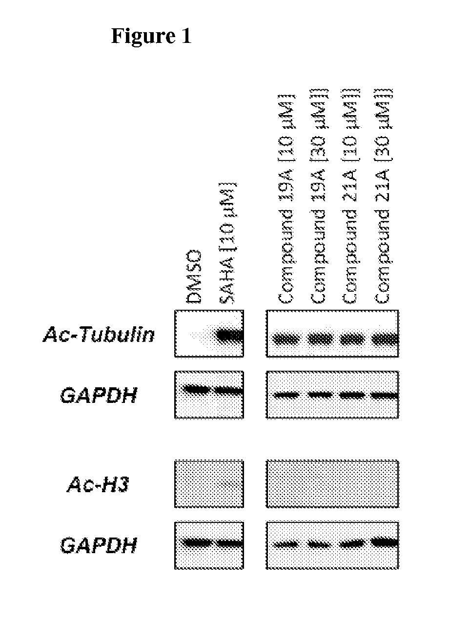 Cycloalkenyl hydroxamic acid derivatives and their use as histone deacetylase inhibitors