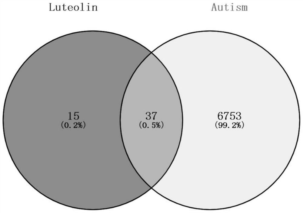 Luteolin-autism related action gene target and screening method thereof