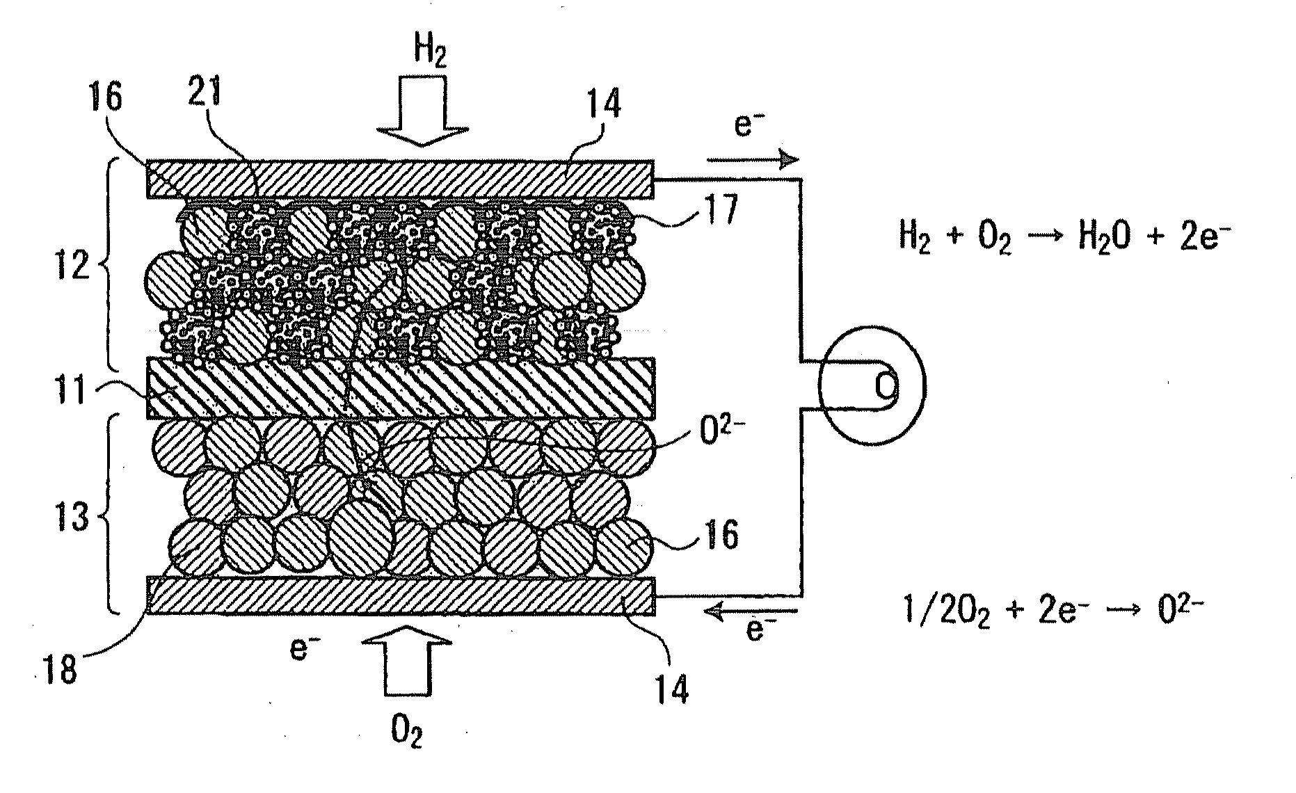 Fuel electrodes for solid oxide electrochemical cell, processes for producing the same, and solid oxide electrochemical cells