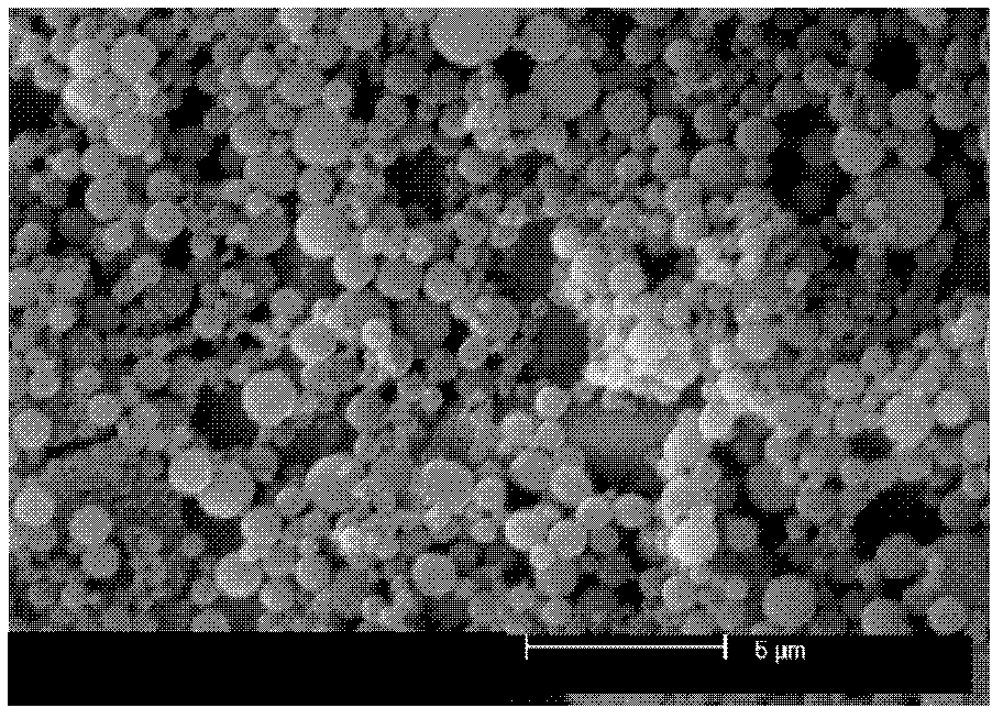 10-hydroxycamptothecine invisible nano-particle sustained release preparation and preparation method thereof