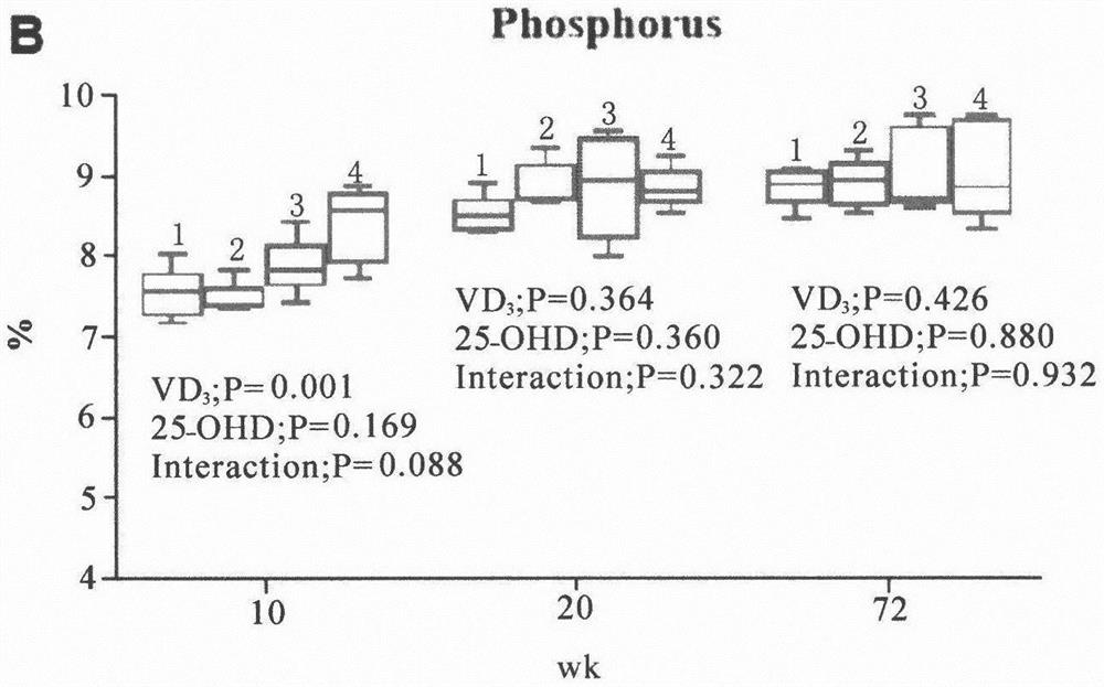 Feeding method for improving bone quality of laying hens