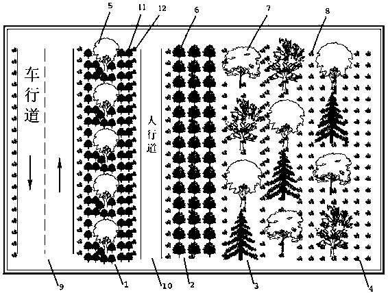 Allocation method of belt-shaped three-dimensional mixed noise reducing type urban forest