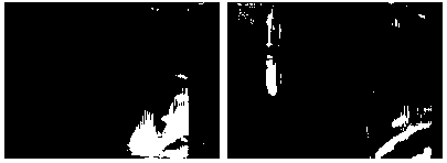 Composite film based on egg white and methylacrylic acid derived polymer as well as application of composite film to cultivation of stem cells