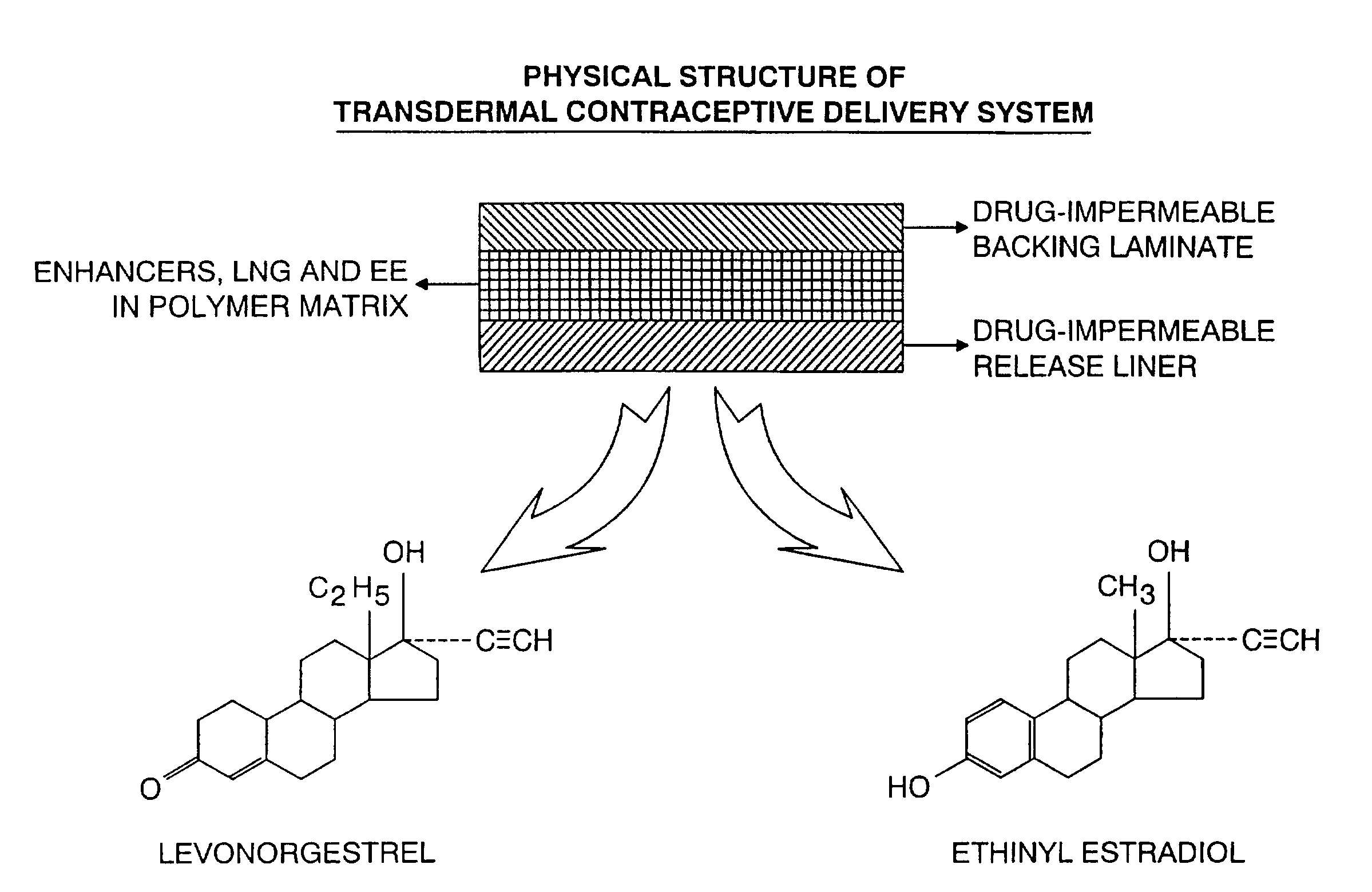 Transdermal contraceptive delivery system and process