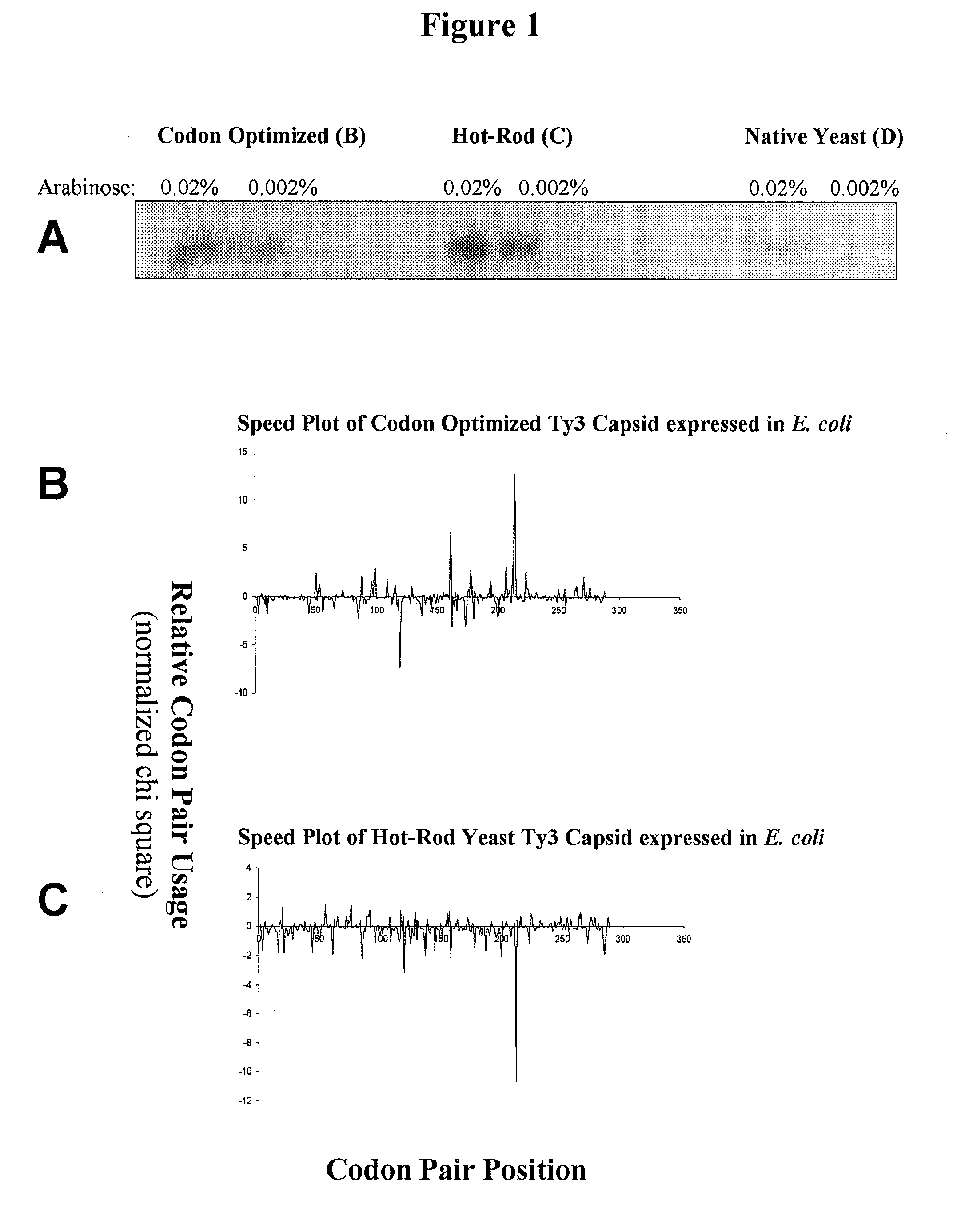 Methods for calculating codon pair-based translational kinetics values, and methods for generating polypeptide-encoding nucleotide sequences from such values
