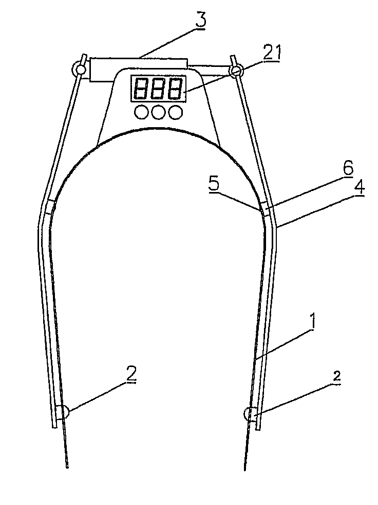 Apparatus for stimulation and artificial insemination of animals