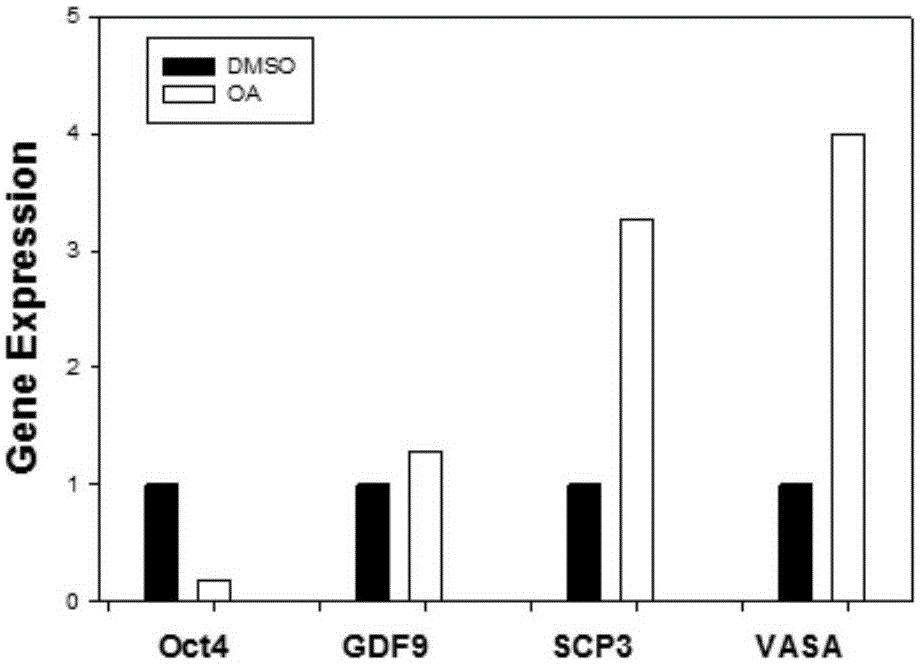 Uses of oleanolic acid in induction of differentiation of human embryonic stem cells into germ-like cells