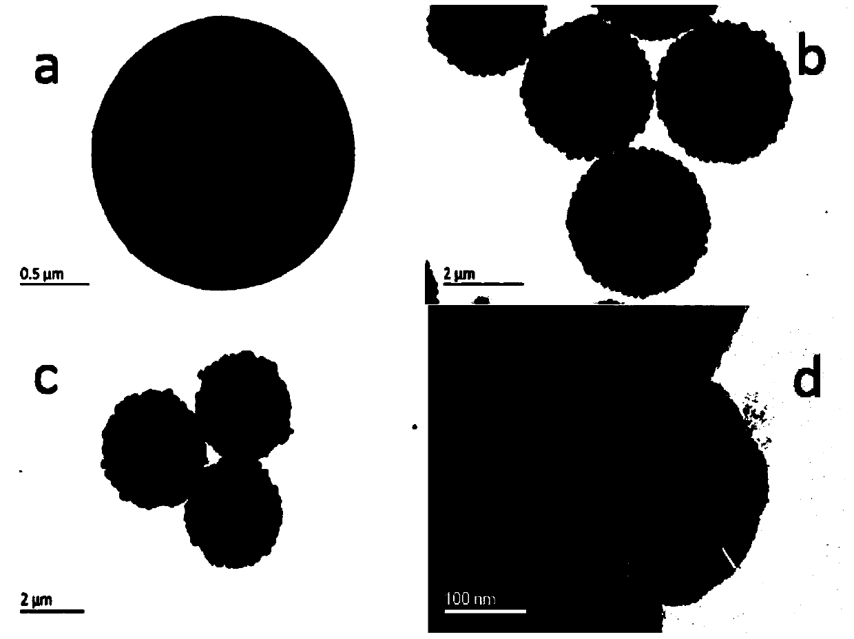 A kind of enrichment and solid-phase derivatization pretreatment method of phosphate sugars