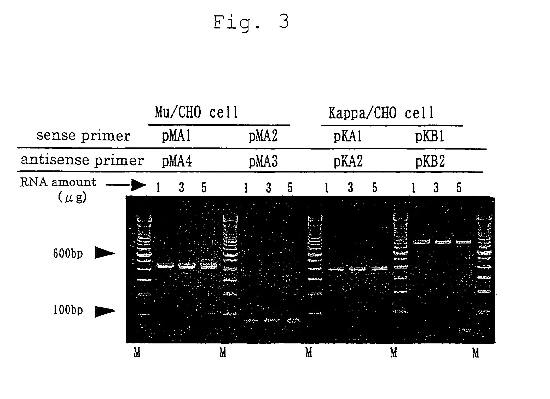 Method for examining the involvement of opioid peptides in prurtis