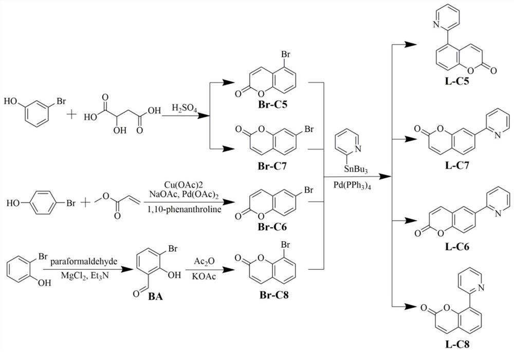 Organometallic iridium complex phosphorescent material containing coumarin skeleton and preparation method thereof