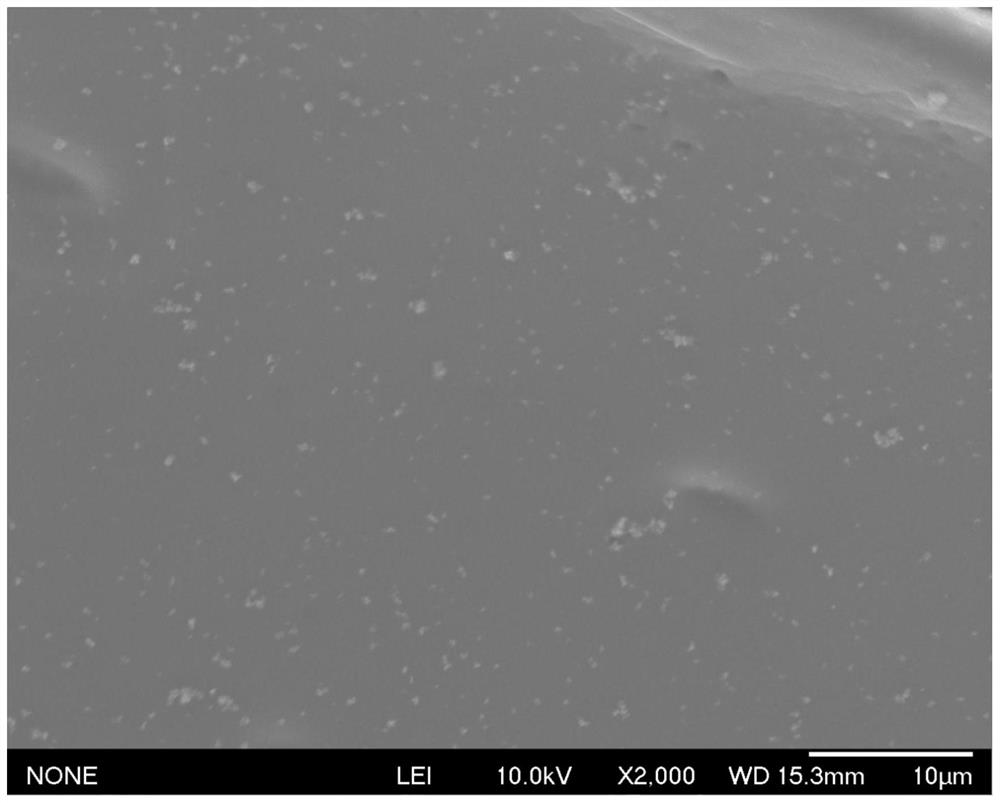 Polyurethane hydrogel of composite nanoparticles and application