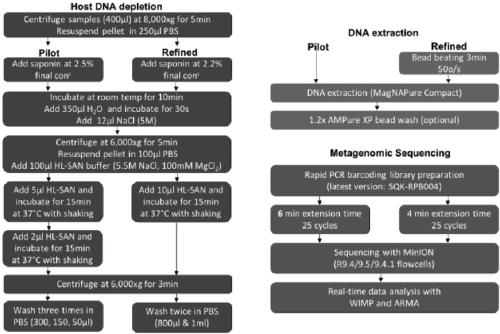 Metagenome sample library construction method and identification method based on nanopore sequencing platform and kit