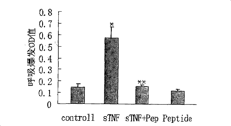 Tumor necrosis factor (TNF)-alpha binding peptide and tumor necrosis factor receptor 1(TNFR1) blocking peptide and applications thereof in treatment of TNF related diseases