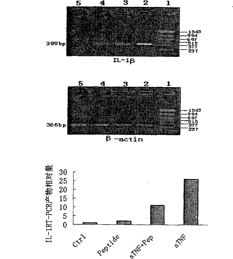 Tumor necrosis factor (TNF)-alpha binding peptide and tumor necrosis factor receptor 1(TNFR1) blocking peptide and applications thereof in treatment of TNF related diseases