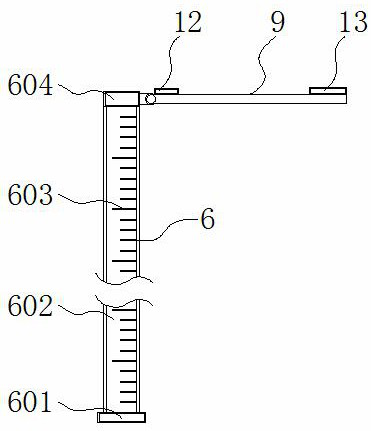 Electronic measuring stick for cattle