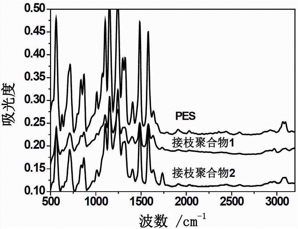 A kind of preparation method of hydrophobic porous separation membrane