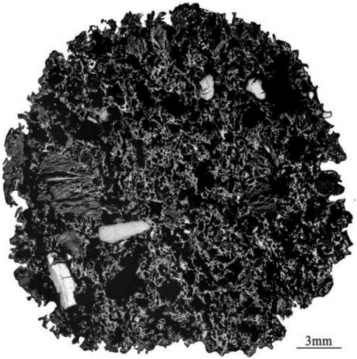 Coke microscopic structure analysis method based on microscopic-level panoramagram