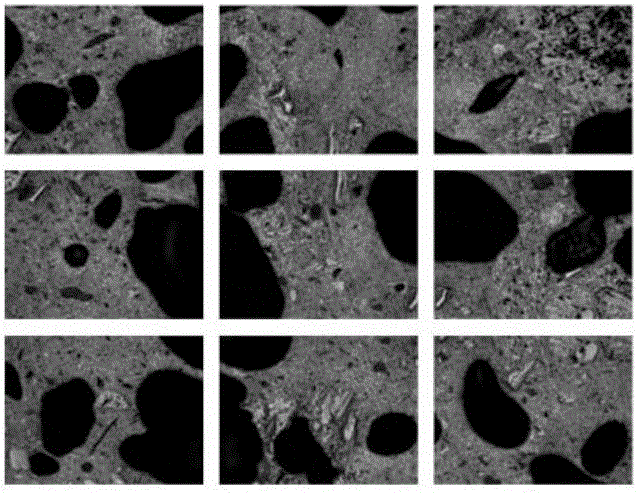 Coke microscopic structure analysis method based on microscopic-level panoramagram