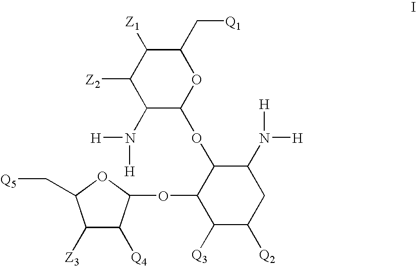 Antibacterial 4,5-substituted aminoglycoside analogs having multiple substituents