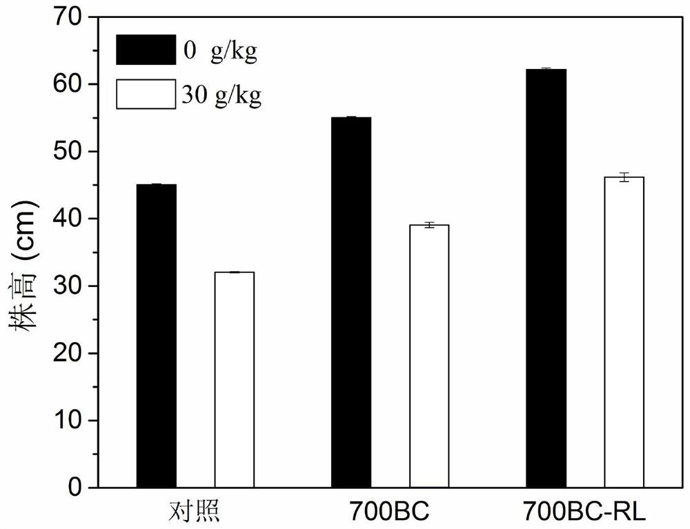 A method for rhamnolipid modified biochar to strengthen Spartina to remediate oil-contaminated soil