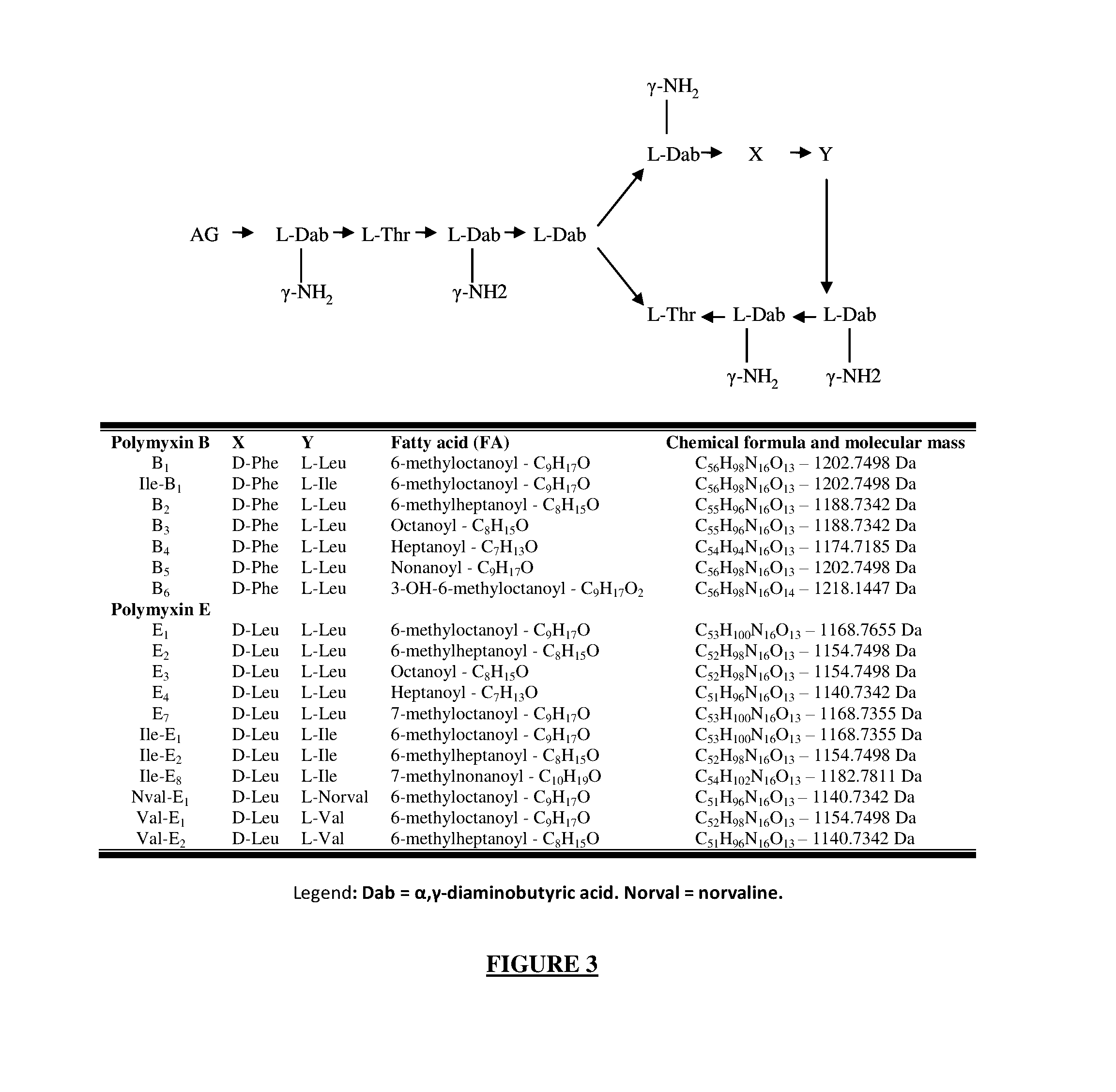 Colistin Synthetases and Corresponding Gene Cluster