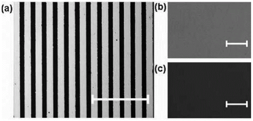 A Broadband Tunable Terahertz Waveplate