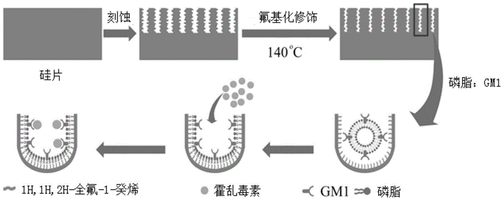 Porous silicon-based non-labelling real-time online detection method for cholera toxins