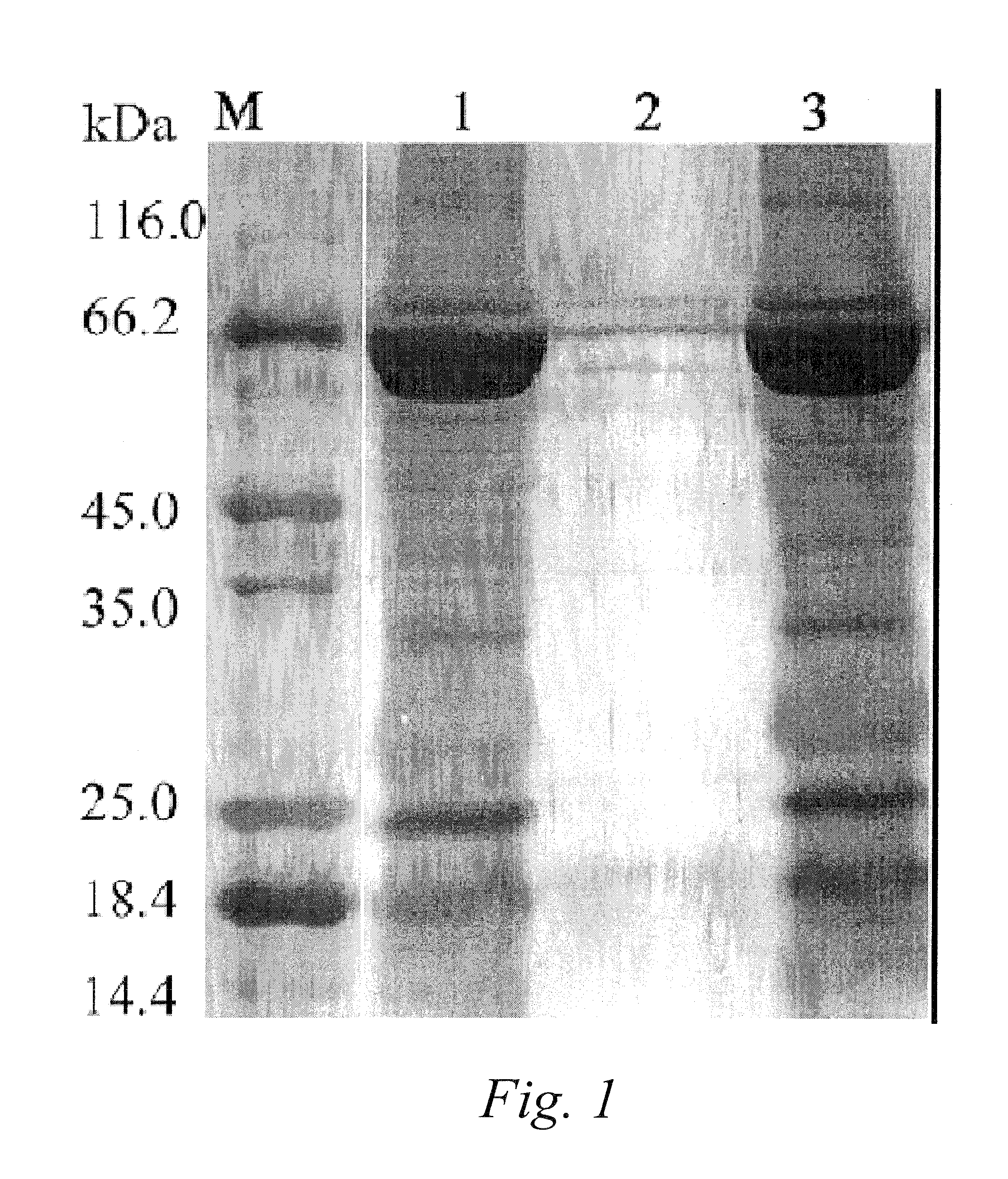 Process for differential polypeptides detection and uses thereof