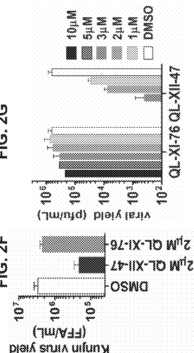 Host targeted inhibitors of dengue virus and other viruses