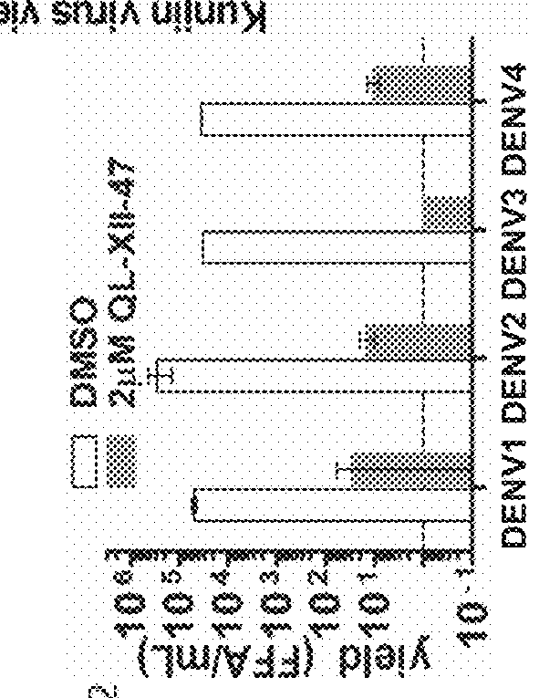 Host targeted inhibitors of dengue virus and other viruses